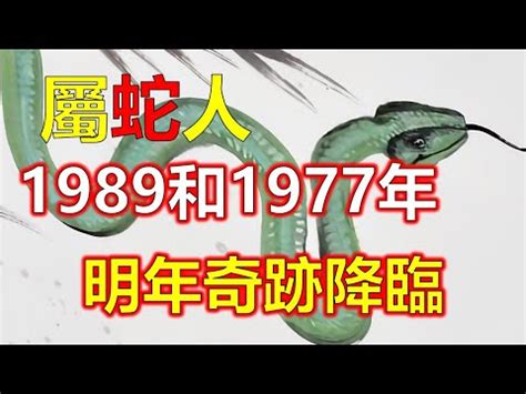 1989五行|1989年属什么生肖